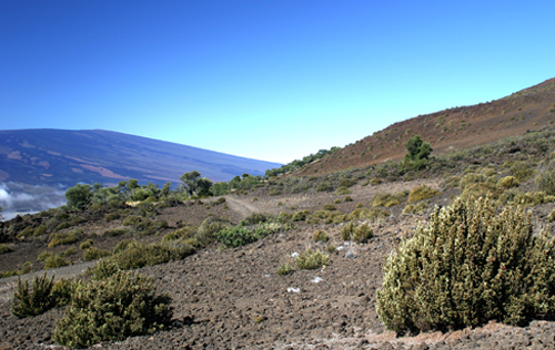 saddle between Mauna Kea and Mauna Loa